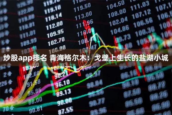 炒股app排名 青海格尔木：戈壁上生长的盐湖小城