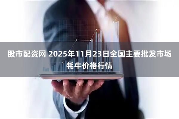 股市配资网 2025年11月23日全国主要批发市场牦牛价格行情